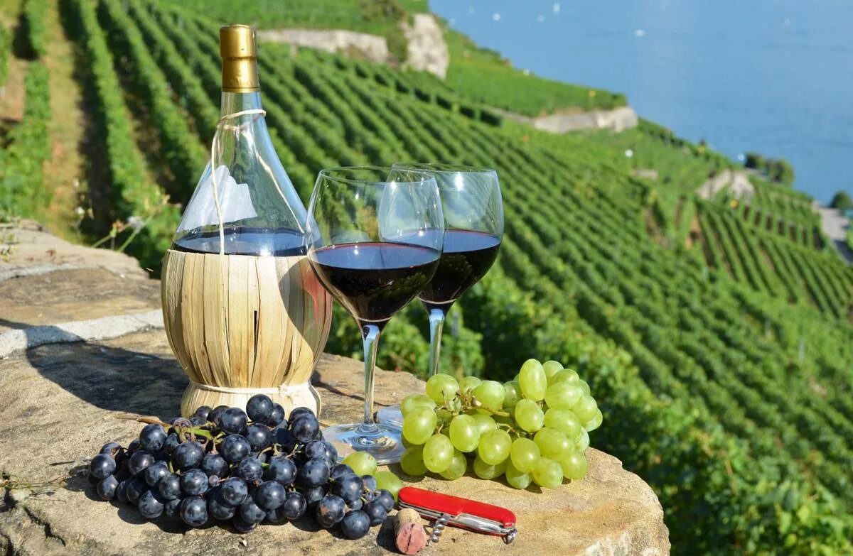 Праздник вина «Ртвели». Грузия. Кахетия виноградники. Тоскана Италия винодельни. Вино Тоскана Италия.