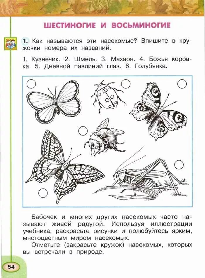 Окружающий мир 2 класс рабочая тетрадь бабочки. Окружающий мир насекомые задания. Насекомые задания 1 класс. Насекомые задание 1 класс окружающий. Задания по окружающему миру насекомые.