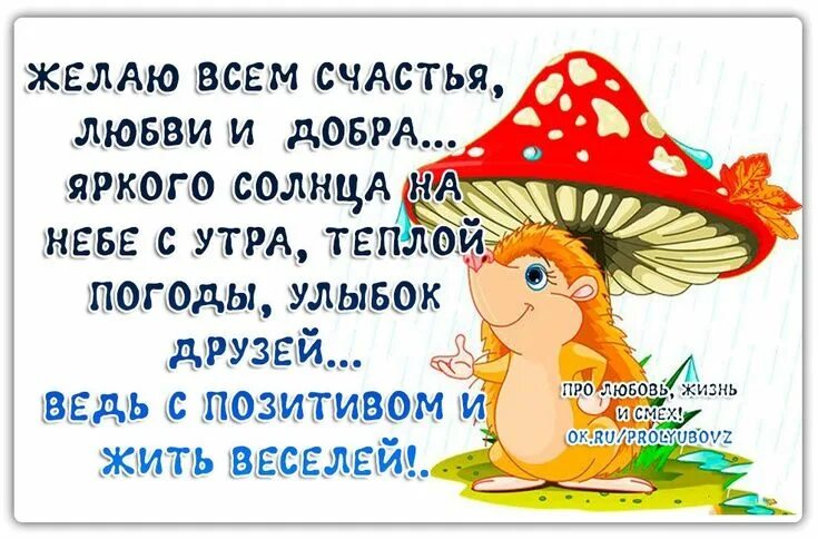 Желаю счастья на весь год. Пожелания счастья и добра с утра. Позитивные пожелания. Я желаю вам с утра здоровья счастья и добра. Счастья здоровья радости добра.