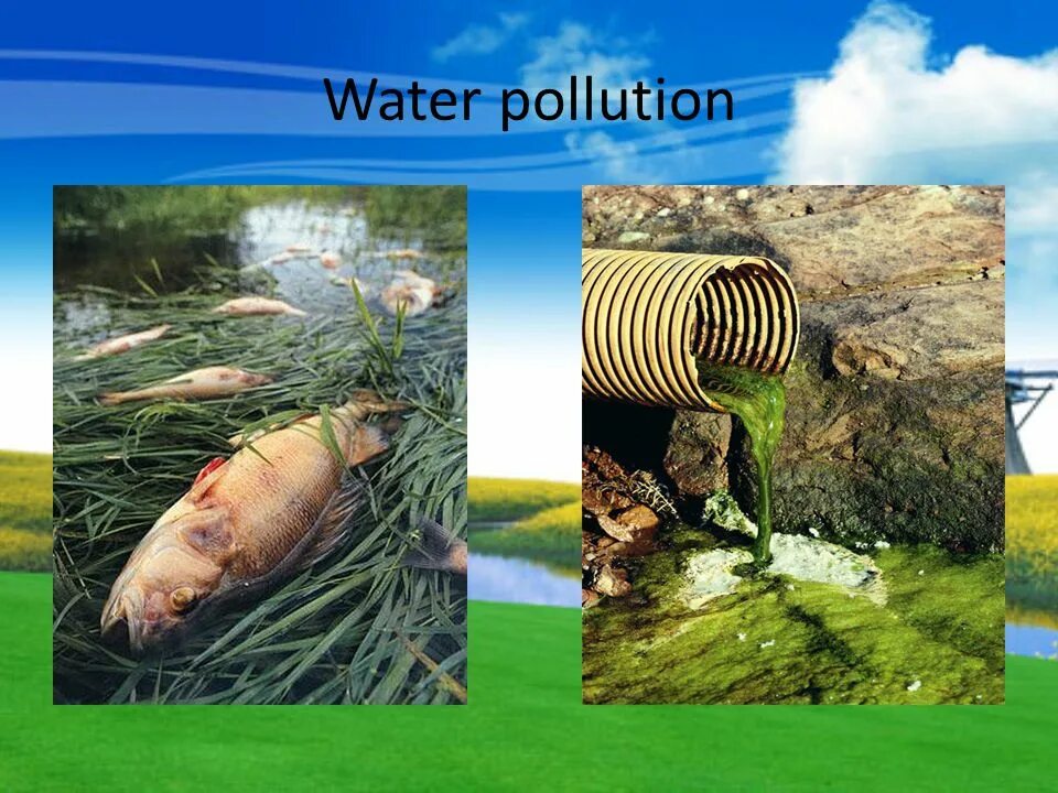 Fill in pollution. Water pollution презентация. загрязнение пресных вод. water pollution problem. environmental problems.