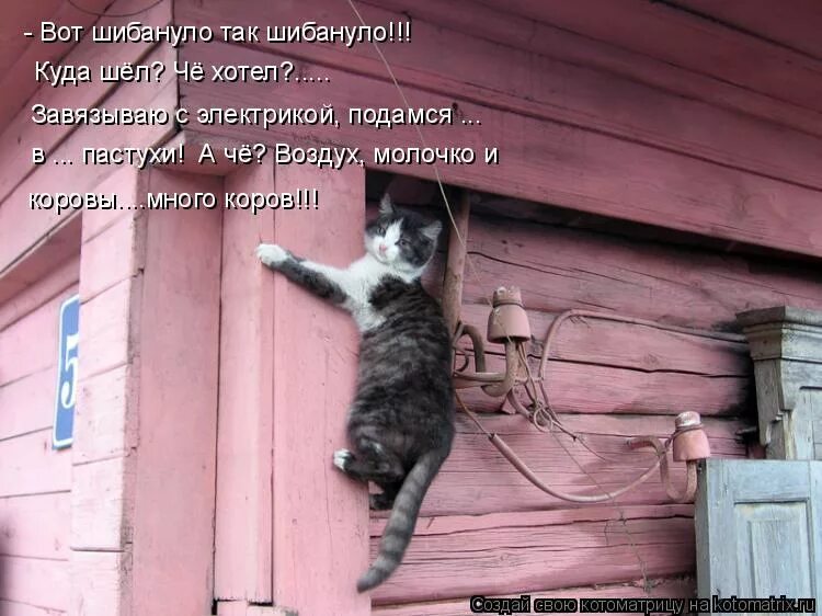 Не знаю куда идти работать