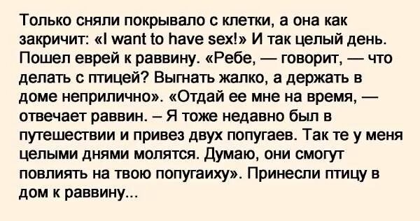 Анекдот про раввина. Анекдот про попугаев бог услышал. анекдот про раввина и козу. анекдот про еврея и козу раввина. еврей приходит к раввину и говорит.