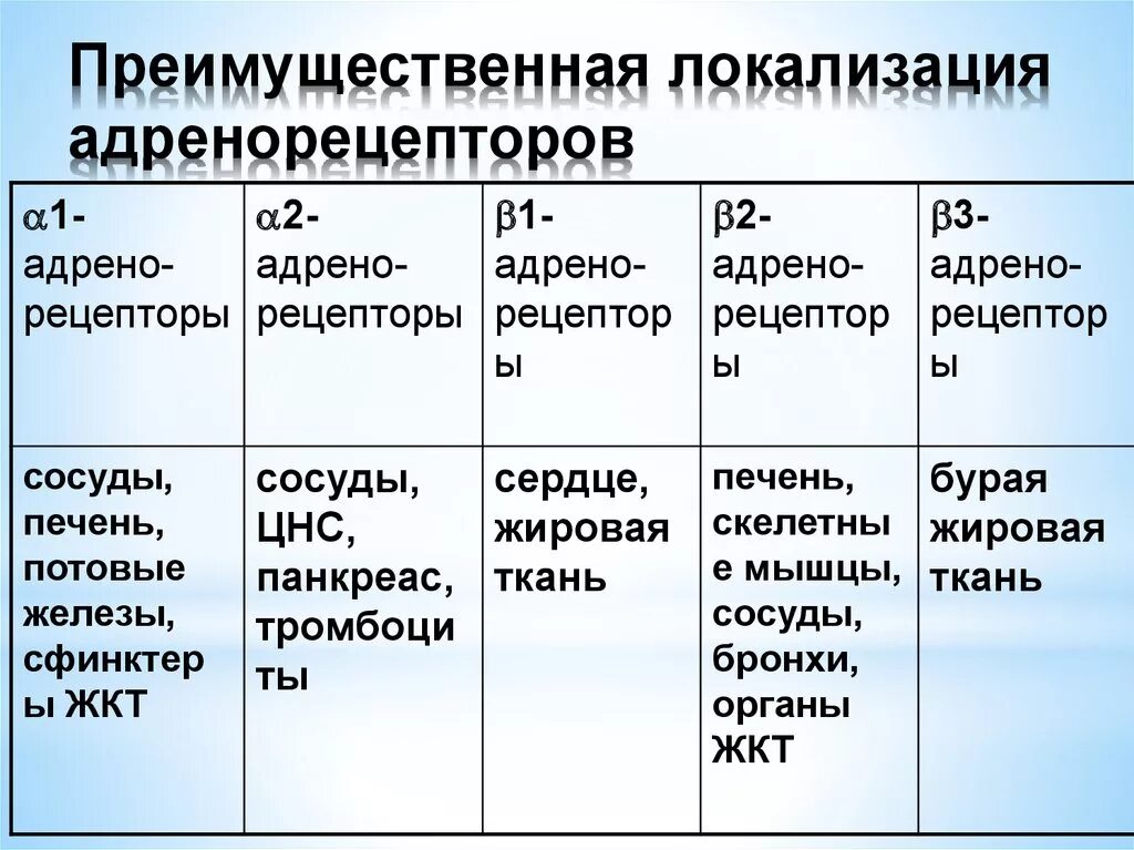 Эффекты альфа адренорецепторов. Бета 2 адренорецепторы локализация. Локализация а2 адренорецепторов. Альфа1-адренорецепторы бета2-адренорецепторы. Расположение бета 2 адренорецепторов.