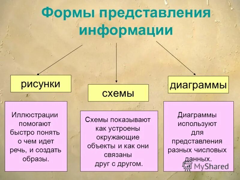 Виды информации по способу представления. Виды информации. Информация по форме представления. Предоставление и распространение информации. Предоставление информации это в информатике.