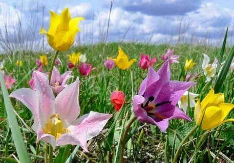 Ағып жатқан қыздың порно фотоларын табыңыз