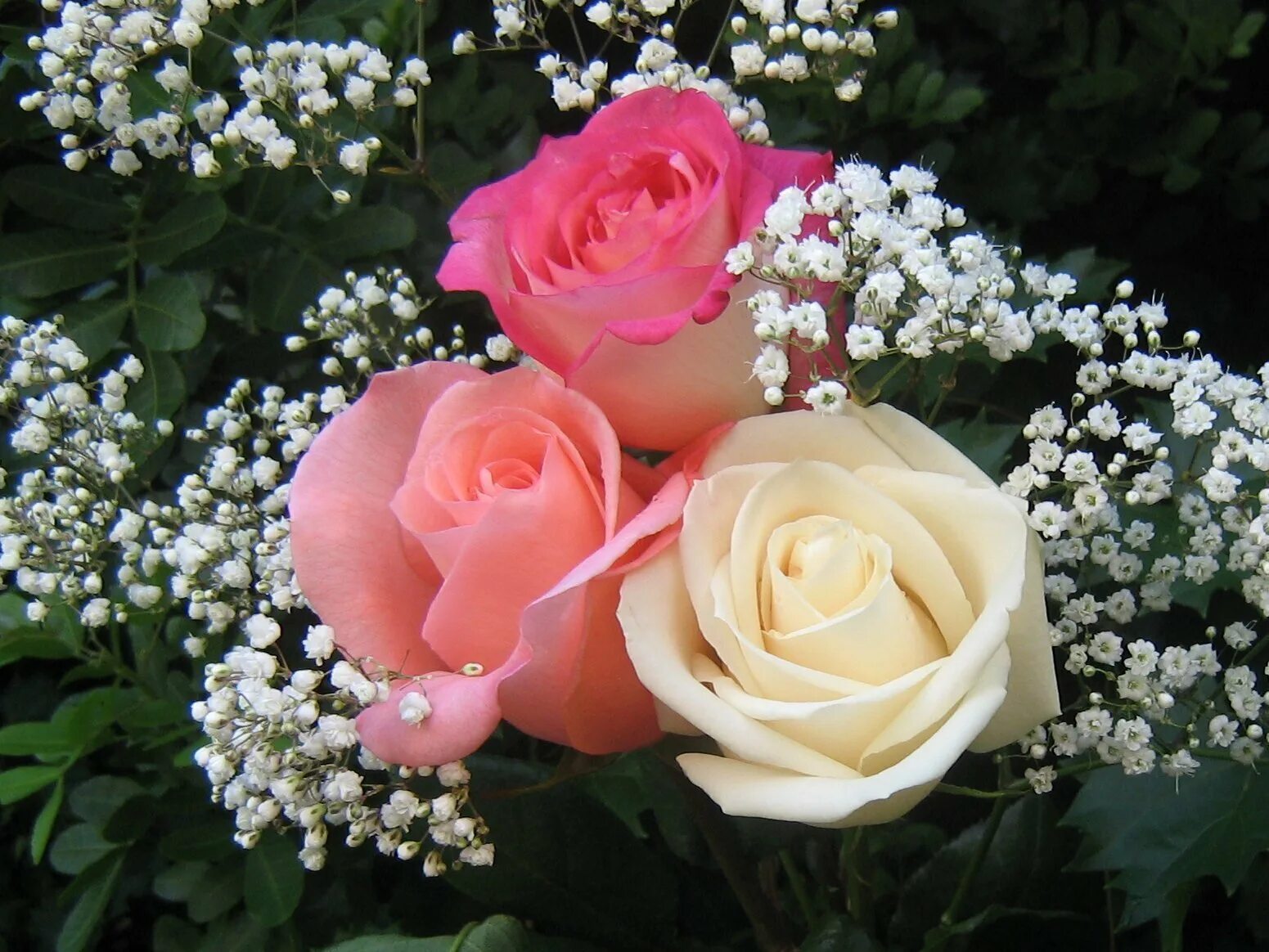 Любимые цветы толстого. Шикарные цветы. Красивый букет цветов. Красивый букет роз.