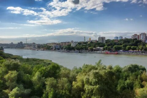 Цветы дона береговая