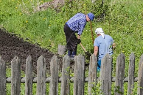 Работа на даче область