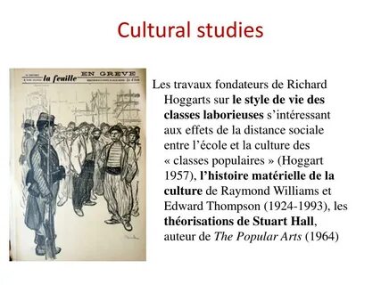 Cultural studies