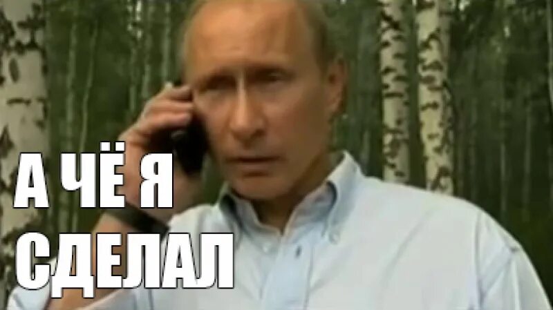 И че я ему скажу. Чего тебе еще надо собака. Чего тебе еще надо собака. И че я ему скажу. Чего тебе еще надо собака.