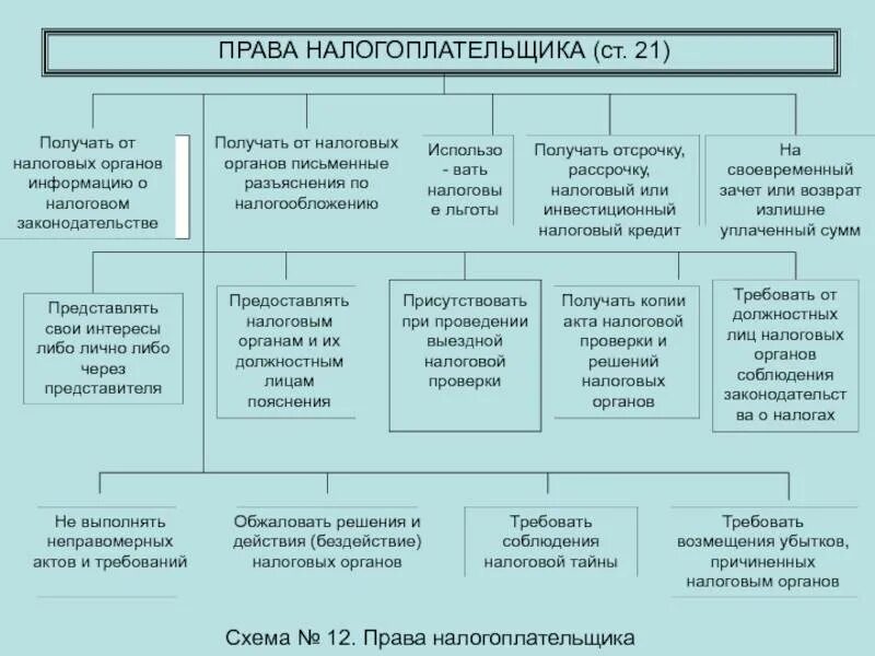 Отношения налогоплательщик налоговые органы. Схема прав и обязанностей налогоплательщиков.