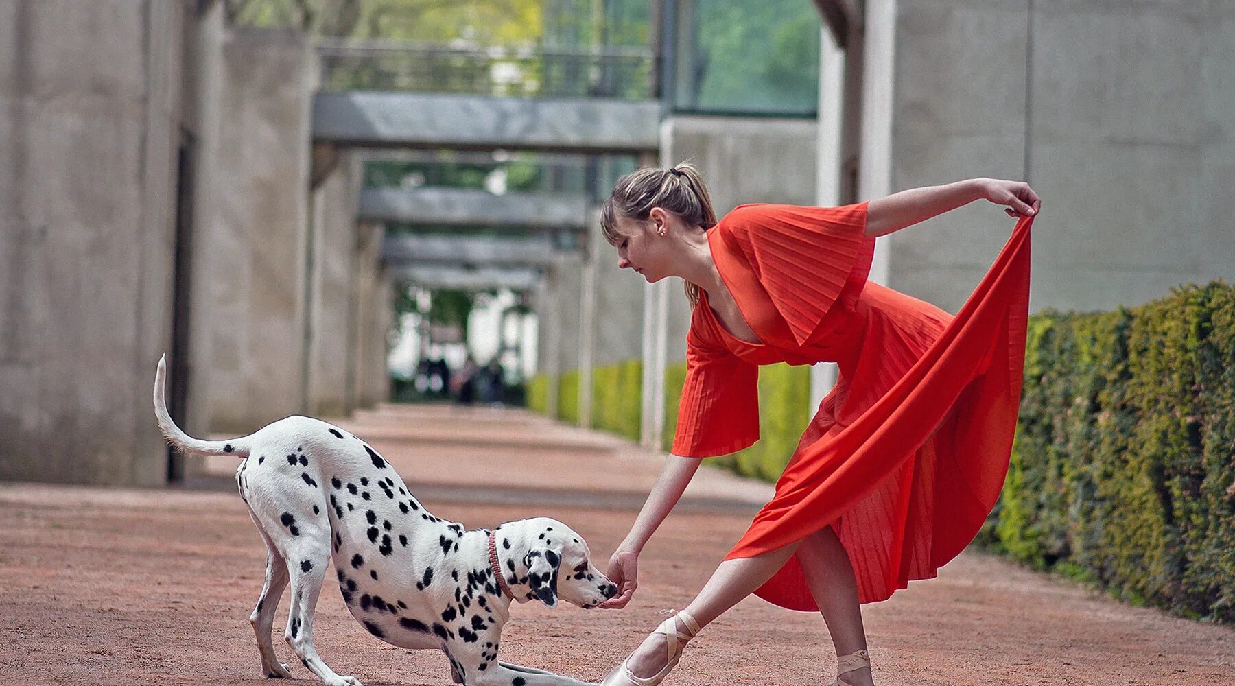 Спорт с собакой. Танцы с собаками. Фристайл с собакой. Девушка танцует с собакой.