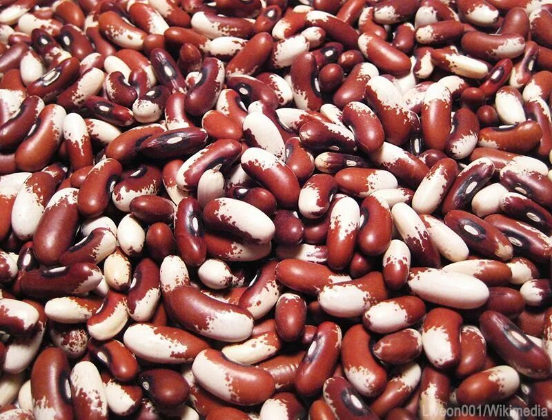 Beans build
