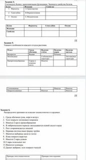 Анализ сор соч 3 класс