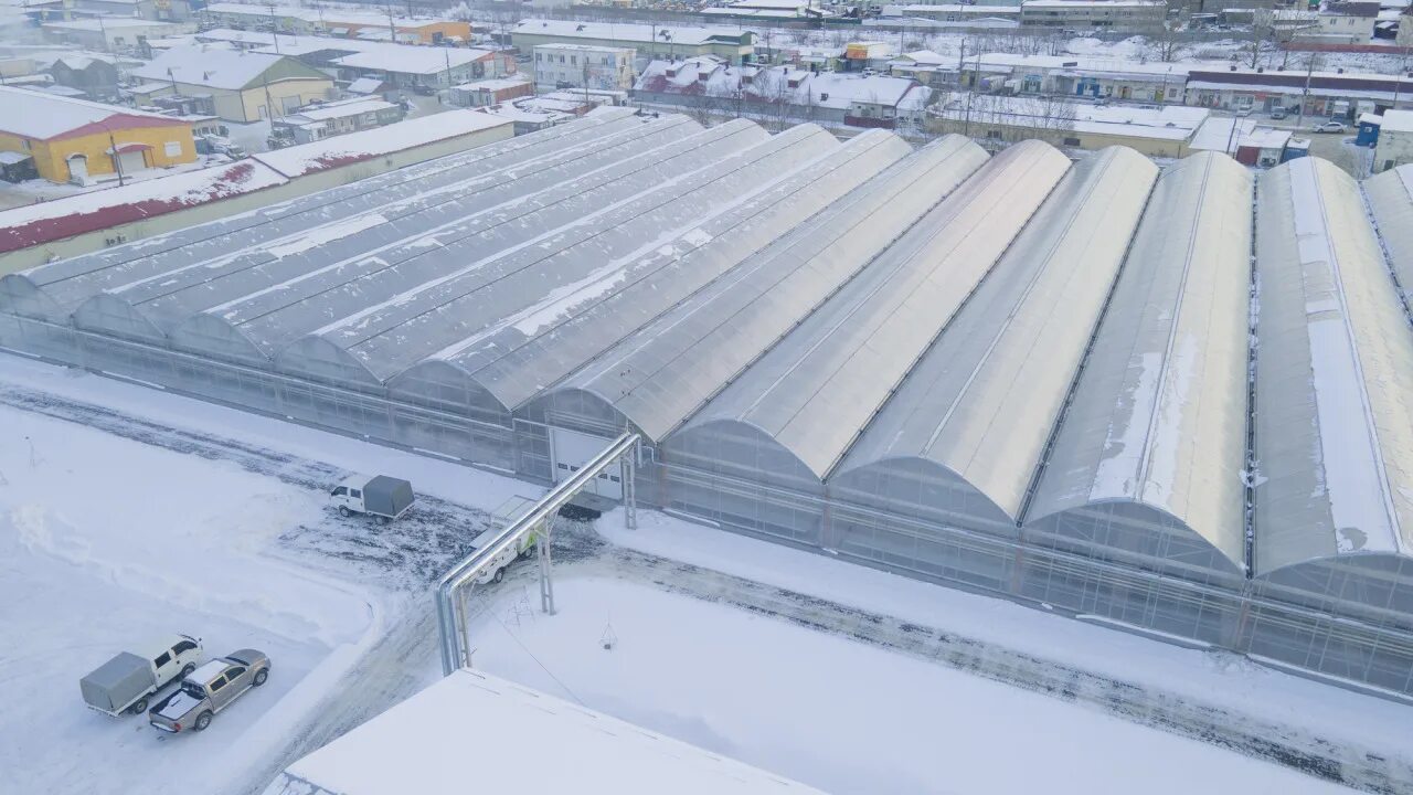 Совхоз тепличный южно-сахалинский. Молочная продукция совхоз южно сахалинский. Совхоз сахалинский. Творог совхоз южно-сахалинский. Йогурт без сахара южно-сахалинский.