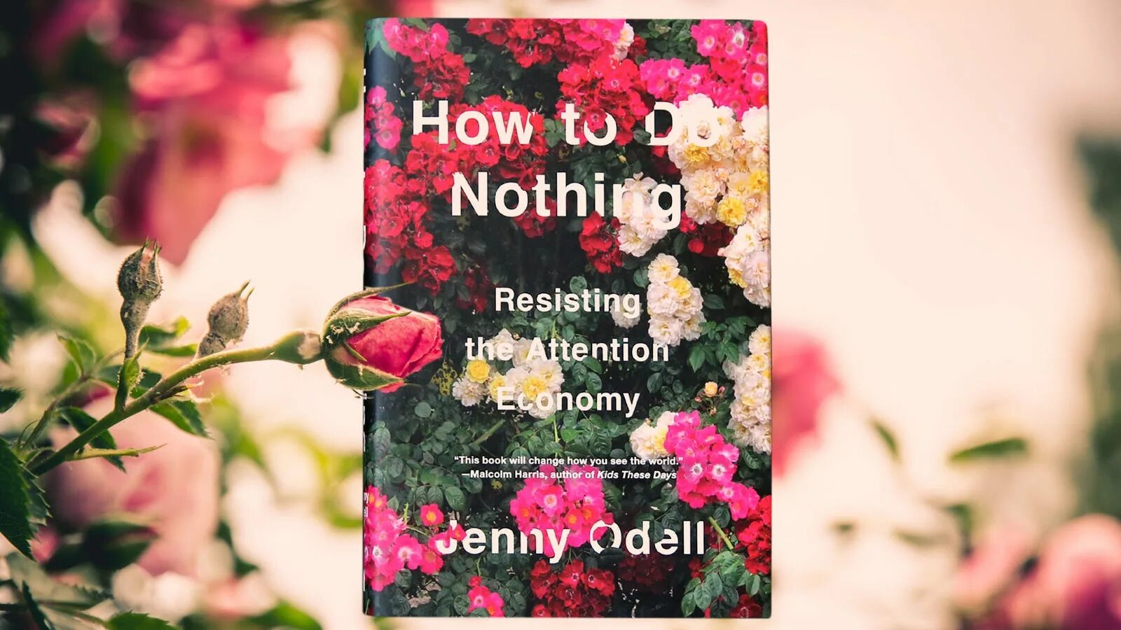 Want to do nothing. Книга the nothing book. Do nothing. Jenny Odell on her book how to do nothing. To do nothing.
