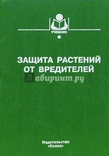 Социальная защита учебное пособие
