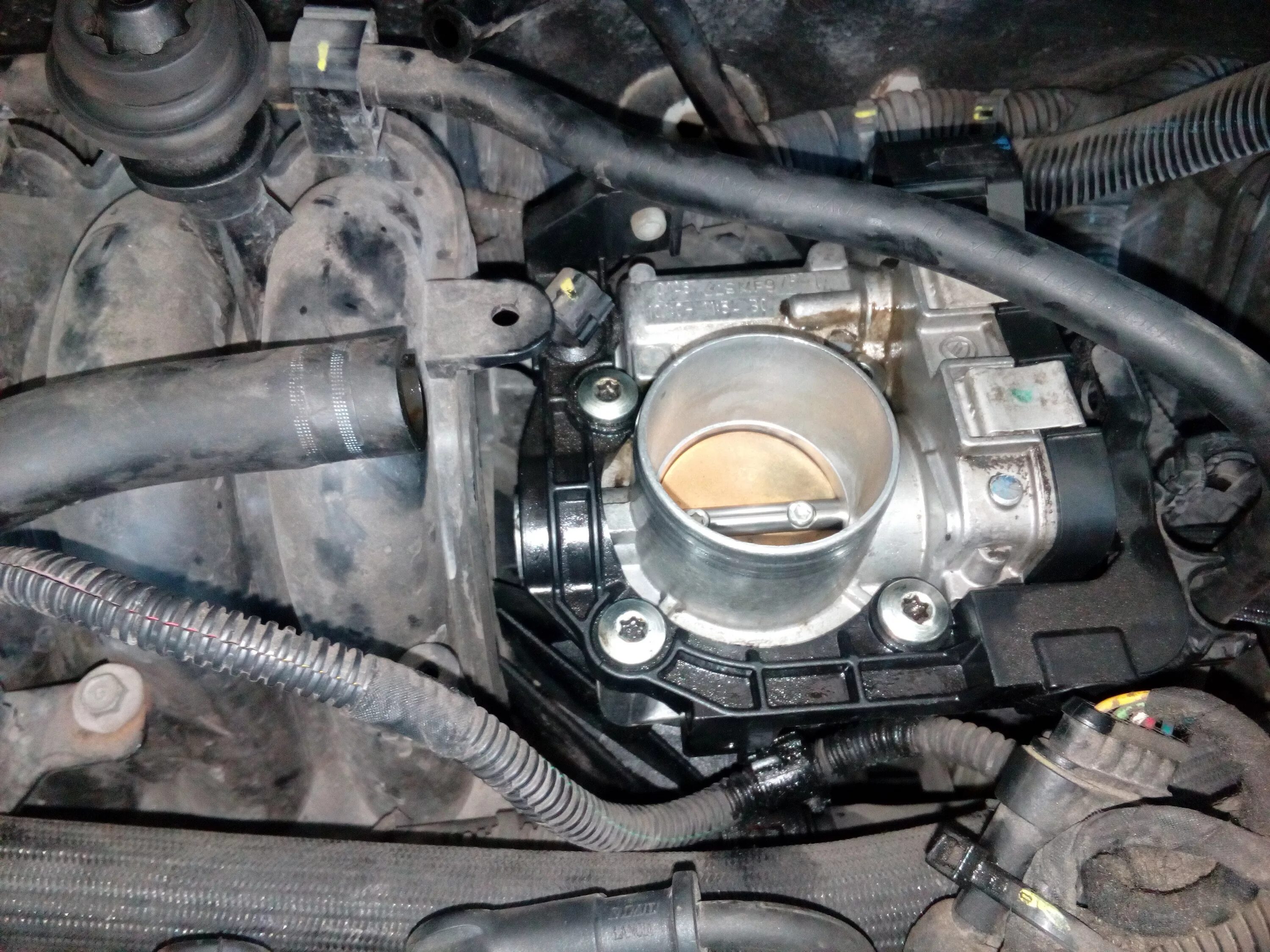 4. датчик фаза регулятора на фиат альбеа. 4. 4. 4.