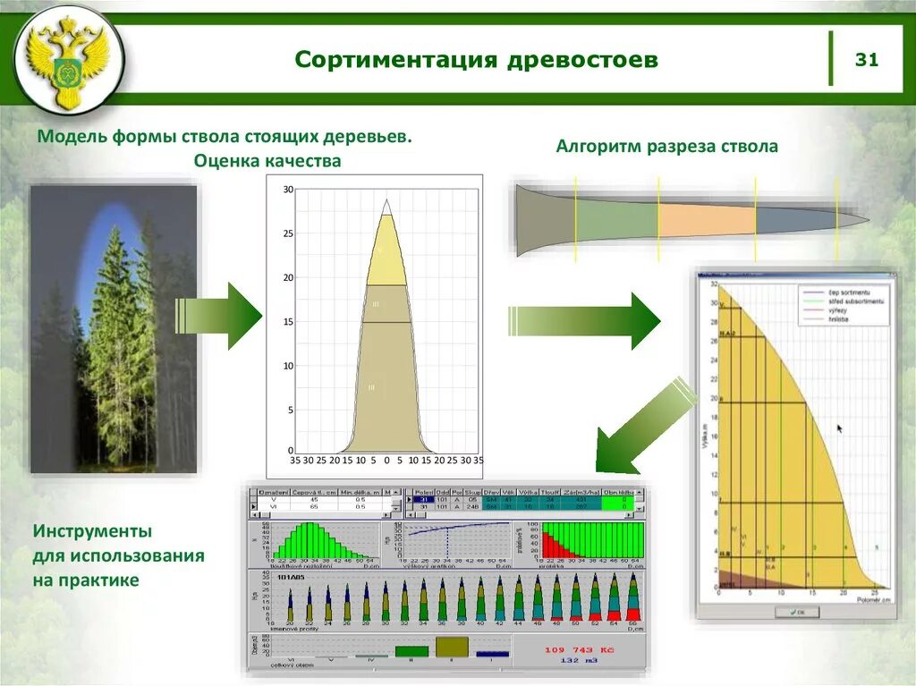 Выход сортиментов
