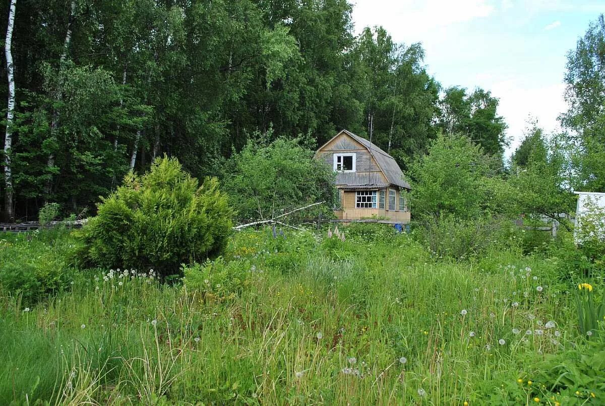 Индекс д александровка. Подробная карта зубцовского района тверской области. Деревня александровка тосненский район. Дорога деревня александровское волоколамский район. Поселок александровка московская область.