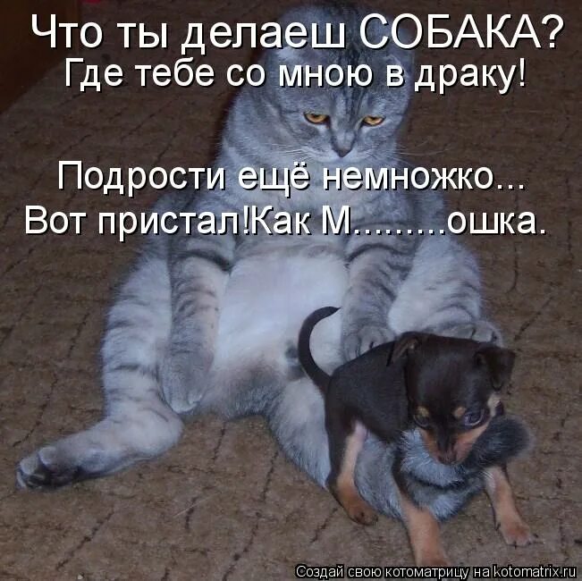 подрасти или подрости как правильно писать