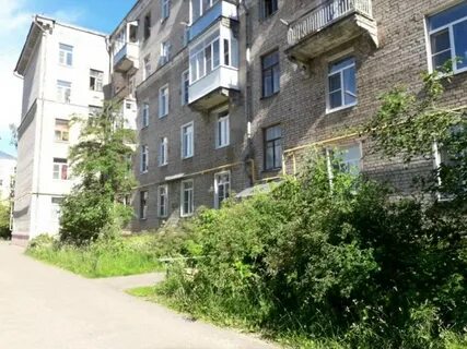 Центральная дубна