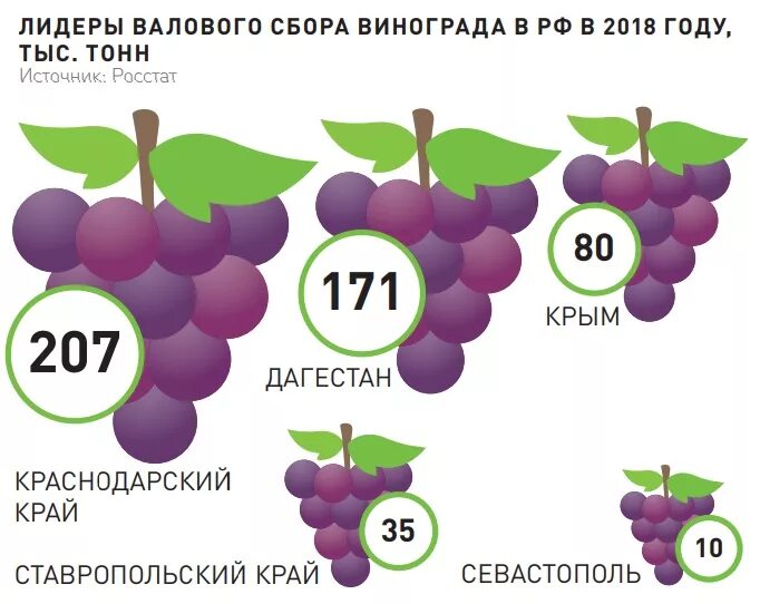 Сколько воды содержится в винограде. Витамины в винограде. Витамины в черном винограде. Виноград калорийность. Урожайность винограда.