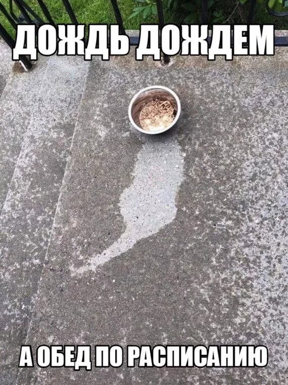 После обеда дождь