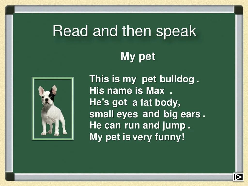 Have has two pets. My Pet по английскому. Проект my Pet. Проект по английскому языку my Pet. My Pet презентация.