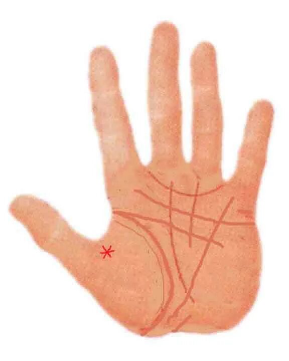 хиромантия треугольник на холме венеры. хиромантия холм венеры. холм венеры на ладони. холм венеры на ладони. холм венеры.