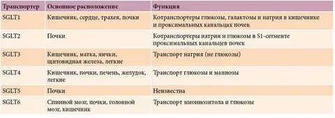 Ингибиторы натрий глюкозного котранспортера 2 типа