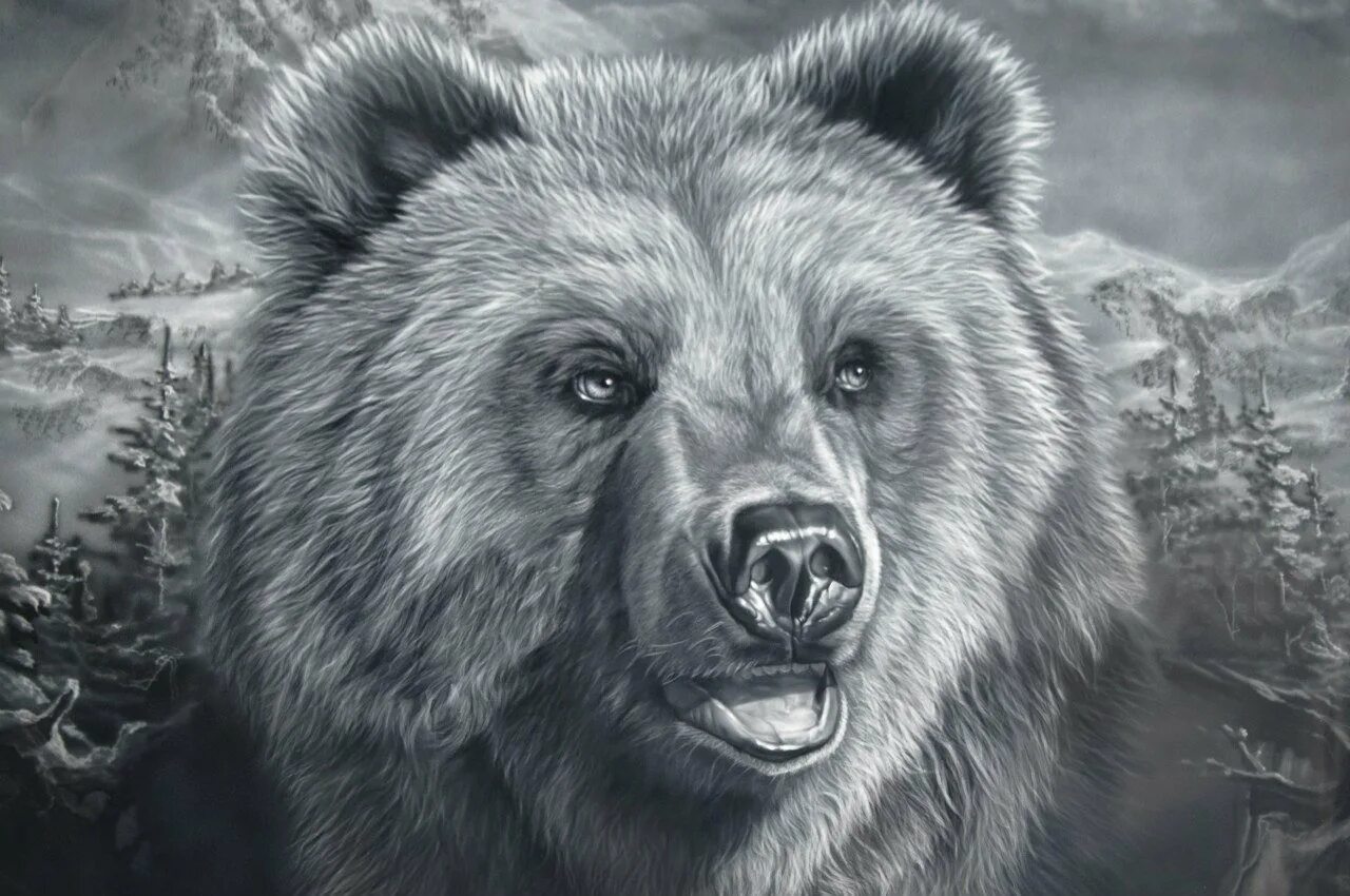 Русский медведь и волк. Медведь эскиз. Медведь арт. Медведь тату эскиз.