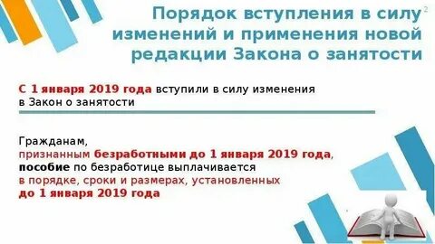 Закон о занятости населения в 2024 году