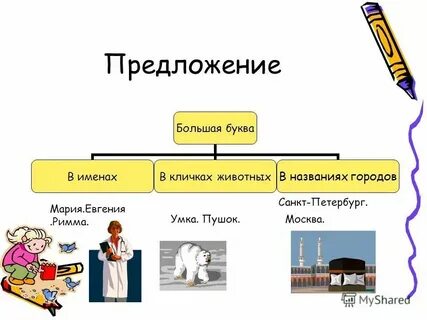 Самое большое предложение в мире