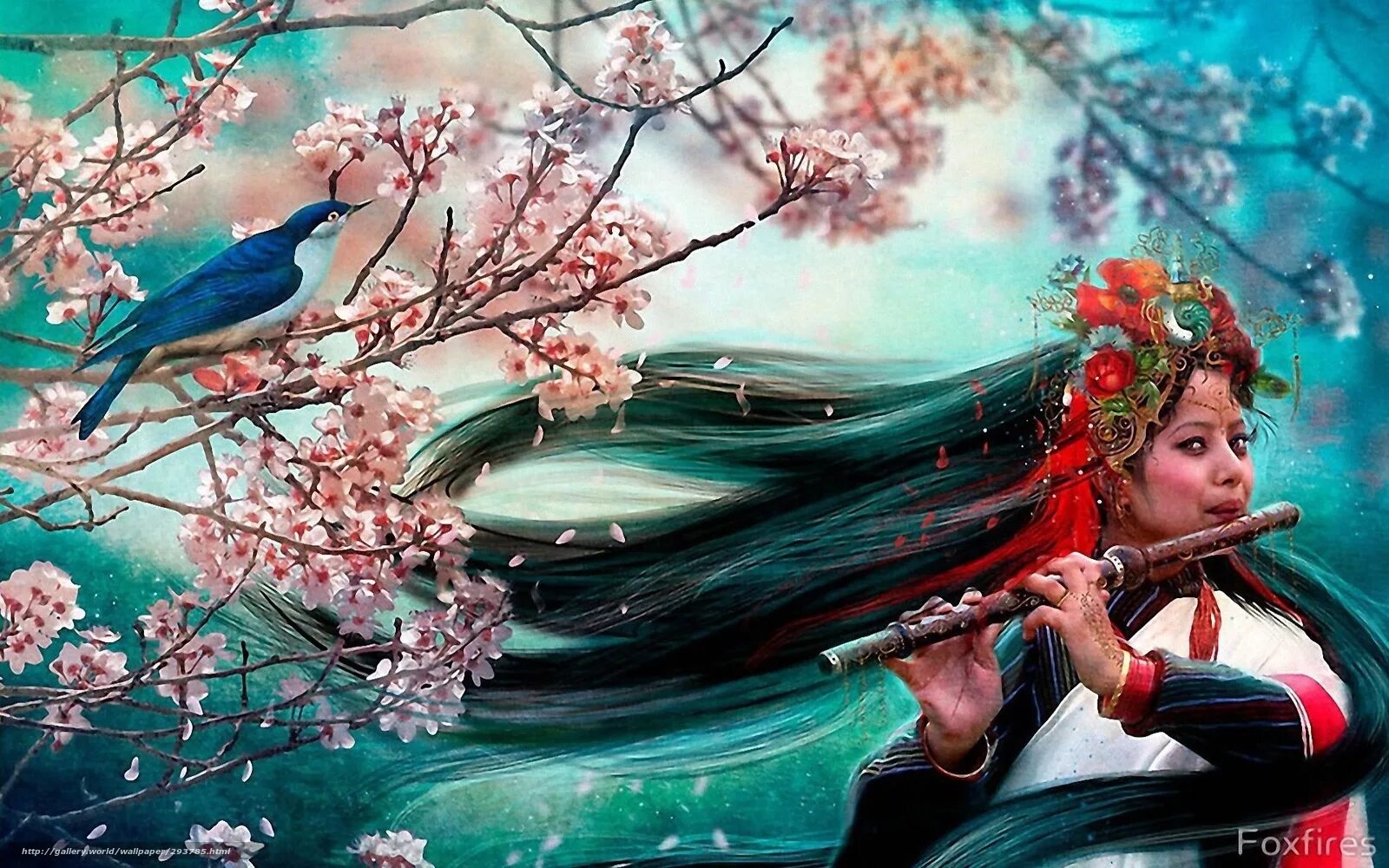 песни про птиц текст. музыкальная птица. птичка попатенко ноты. слова песни расскажите птицы. птицы и музыкальные инструменты.