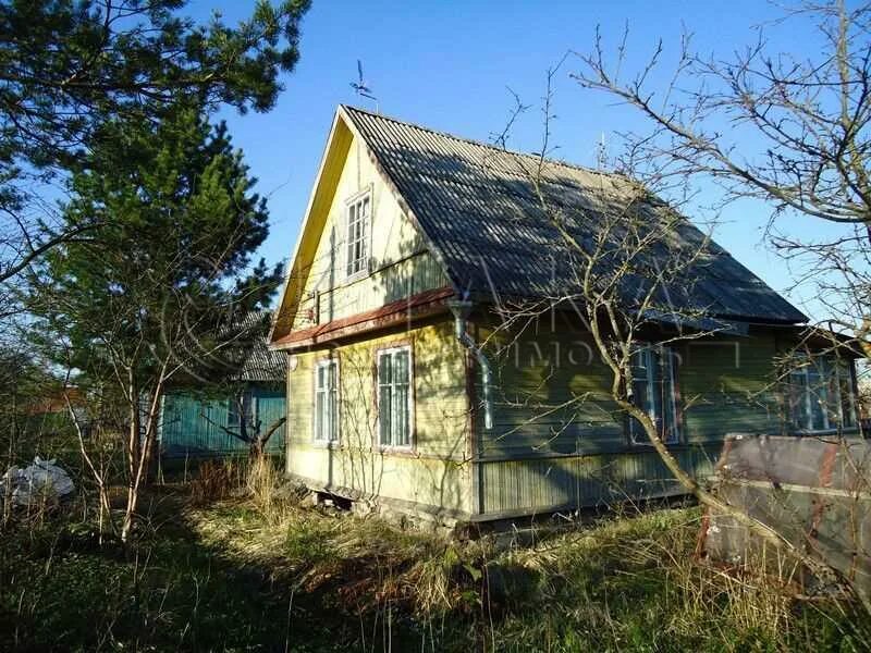Снт приозерное массив восход. Массив восход снт ленинградская. Снт кировец 2. Снт восход синявино. Снт восход синявино.