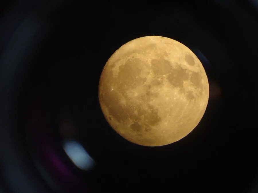 Луна как желтый медведь. Луна через телескоп. Снимки Луны с телескопа. Вид Луны в телескоп. Вид из телескопа на луну.