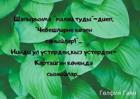 Мин синеке син