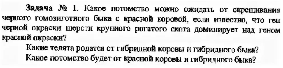 Какое потомство можно