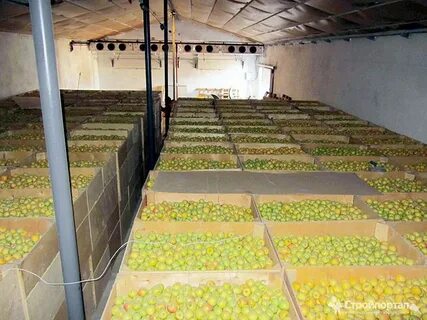 Хранилище для овощей сложное