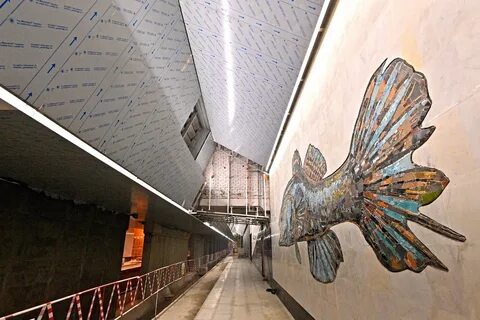 Станция нагатинский затон рыбы