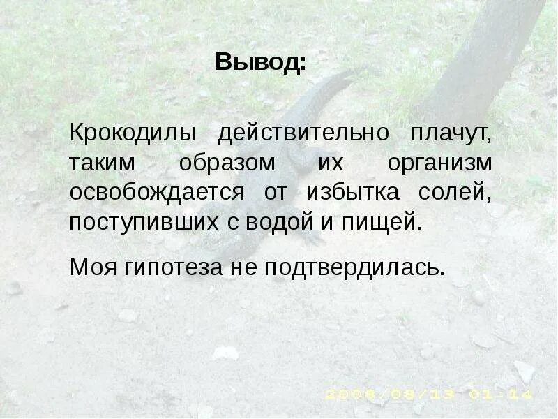 Что такое избыток соли. Вывод о крокодилах. Заключение о крокодилах. Вывод по крокодилам. Заключение по теме крокодил.