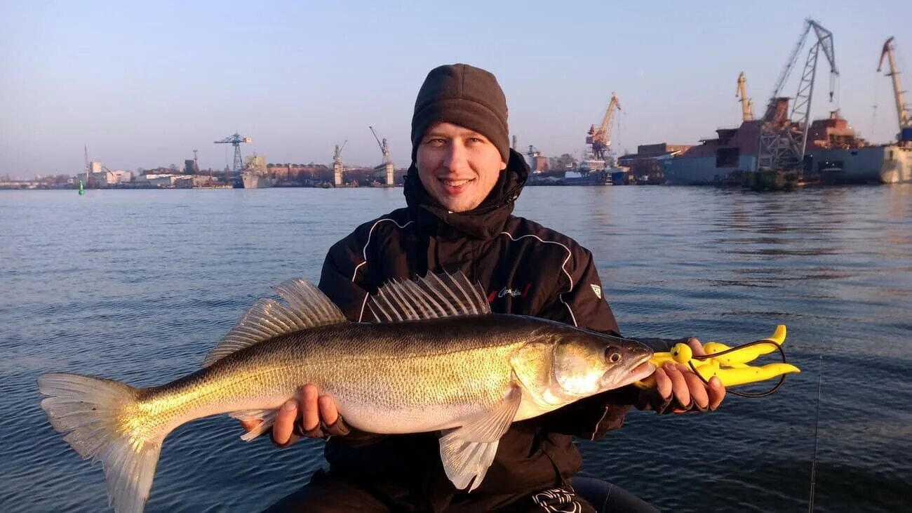 Калининград ловит рыбу. Рыбалка Балтийское море Калининград. Рыболовля в Калининграде. Куршский залив рыбалка. Рыба Балтики Калининград.