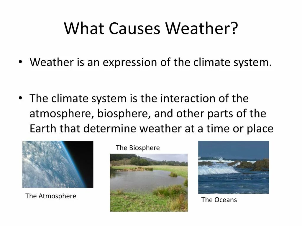 What causes the weather. Weather презентация. Weather and climate. Plants climate and weather ppt.