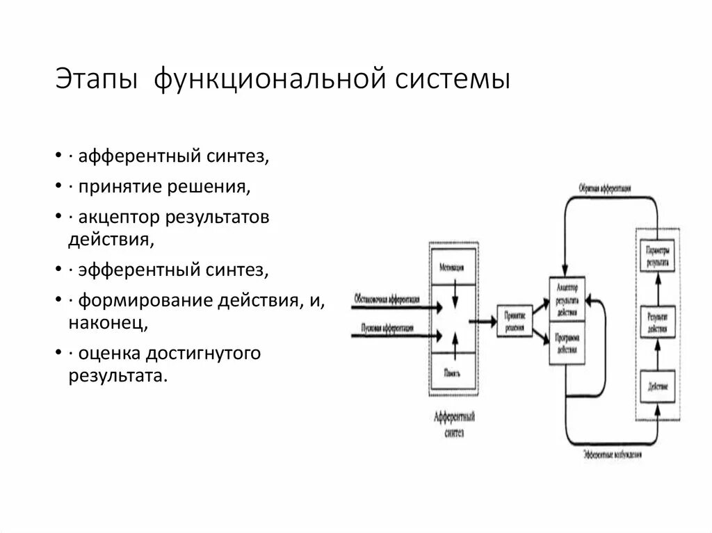 Функциональной системой приведите примеры Моделирование различных сторон подготовленности спортсмена презентация, доклад