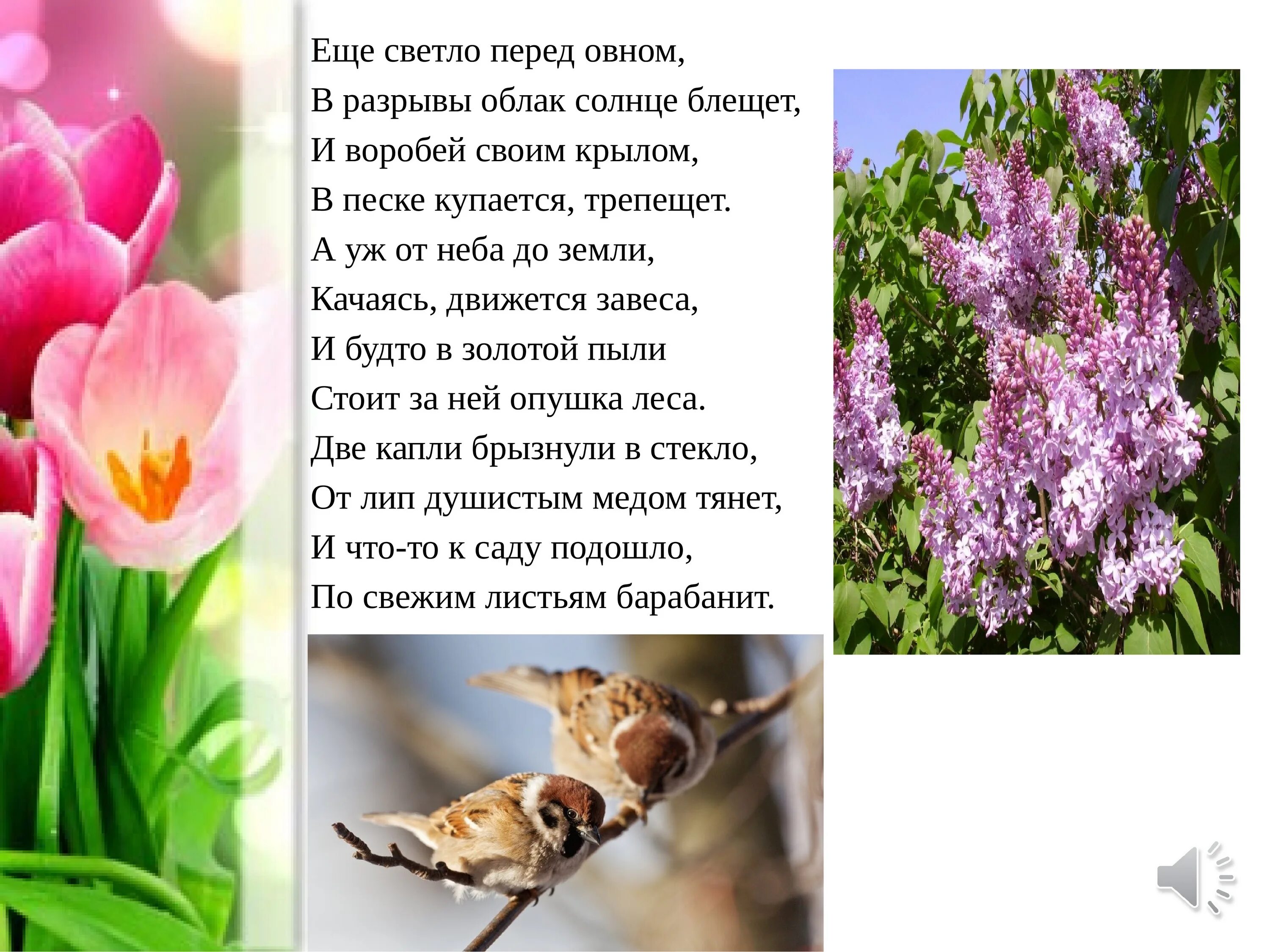 Качаясь движется завеса объяснить значение выражения
