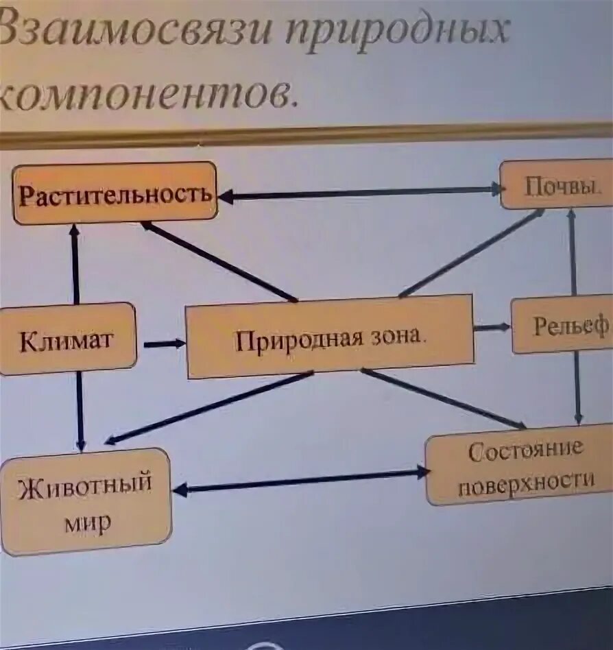 Главный природный компонент. Взаимосвязь природных компонентов. Виды природных компонентов. Зависимость природных компонентов. Роль природных компонентов.