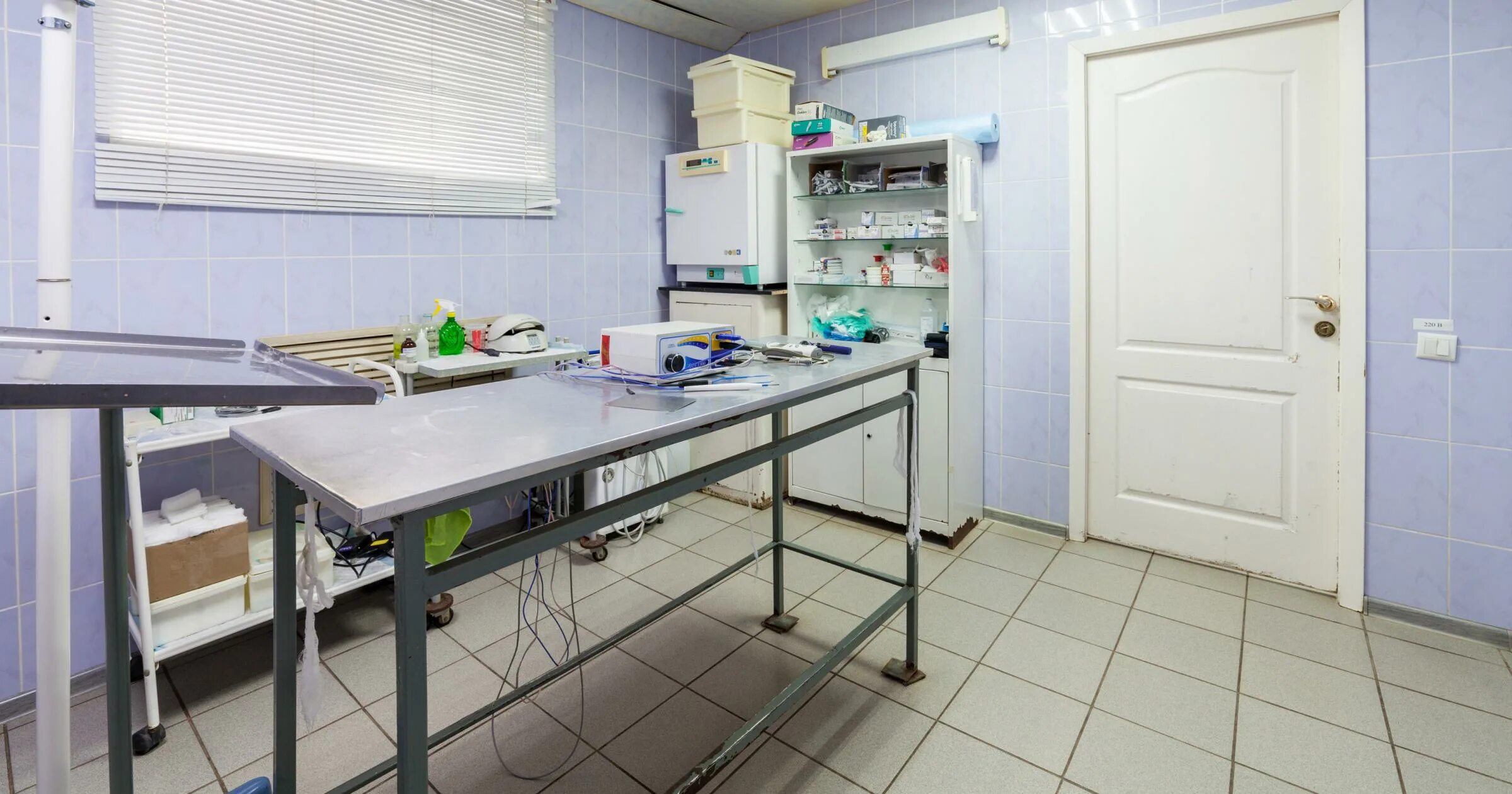 снежный барс ветеринарная клиника рязань. снежный барс ветеринарная клиника нижний новгород. снежный барс рязань ветклиника канищево. ветеринарные клиники рязань канищево. снежный барс рязань канищево.