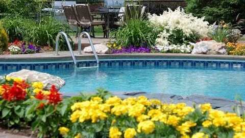Plant pool