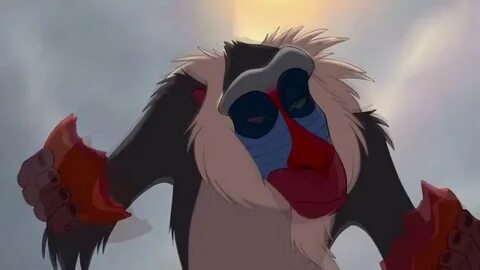 Le roi des